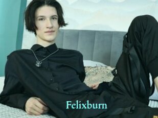 Felixburn