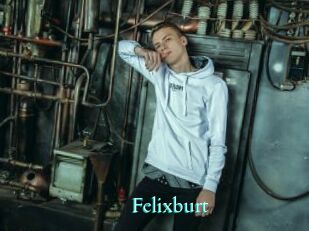 Felixburt