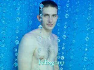 Felixgunn