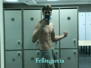 Fellixgarcia