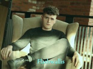 Flashwallis