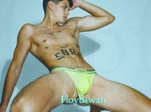 Floydswan