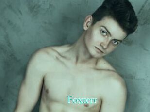 Foxterr