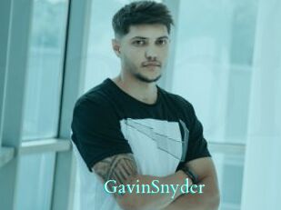 GavinSnyder