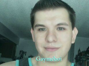 Gaymeboi