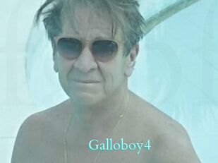 Galloboy4