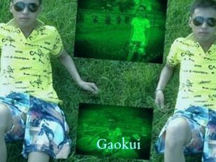 Gaokui