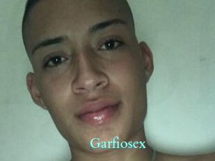 Garfiosex