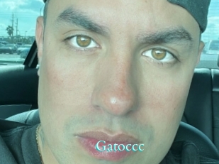 Gatoccc