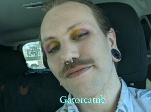 Gatorcatnb