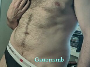 Gattorcatnb