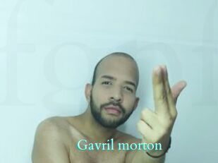 Gavril_morton