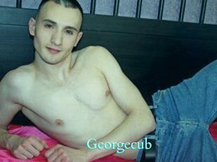 georgecub Free Gay Porn Finder