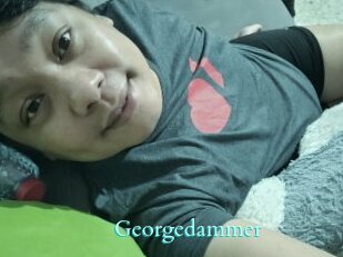 Georgedammer