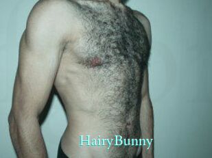 HairyBunny
