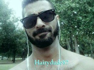 Hairydude87