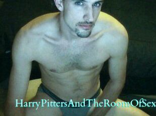 HarryPittersAndTheRoomOfSex