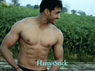 HarrysStick