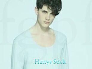 Harrys_Stick