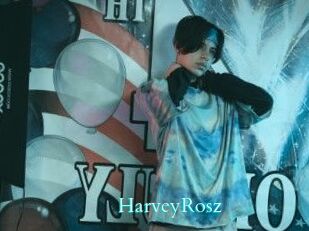 HarveyRosz