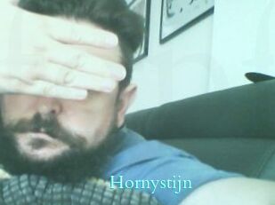 Hornystijn
