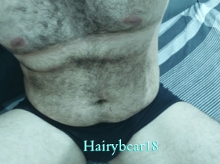 Hairybear18