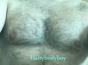 Hairybodyboy