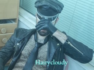 Hairycloudy