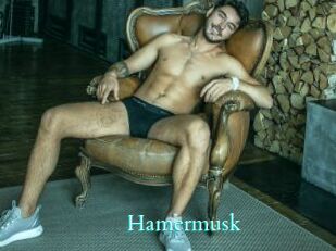 Hamermusk