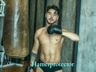 Hamerprotector