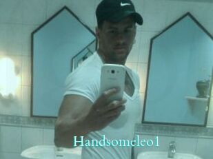 Handsomeleo1