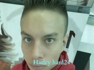 Harley_hard24