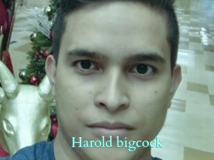 Harold_bigcock