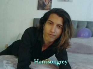 Harrisongrey