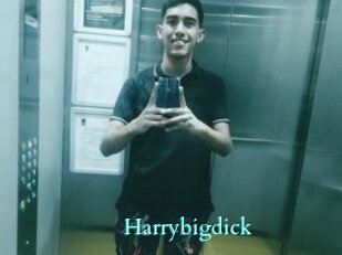 Harrybigdick