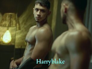 Harryblake