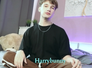 Harrybunny