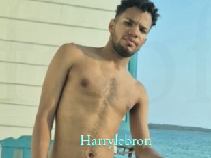 Harrylebron