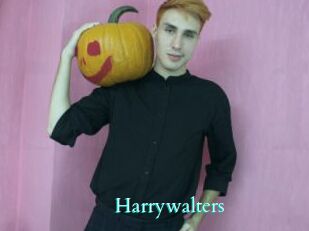 Harrywalters