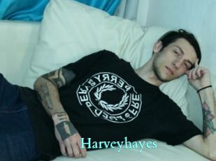 Harveyhayes