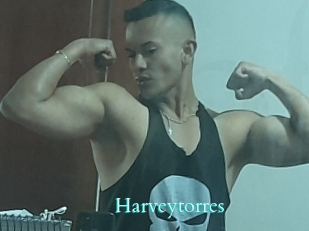 Harveytorres