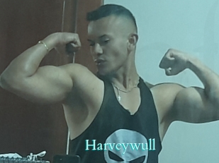 Harveywull