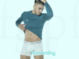 Haydenbig