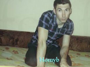 Hornyb