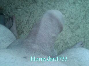 Hornydan1733