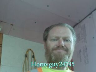 Hornyguy24745