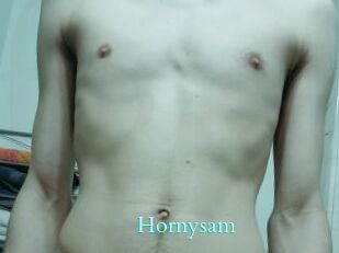 Hornysam