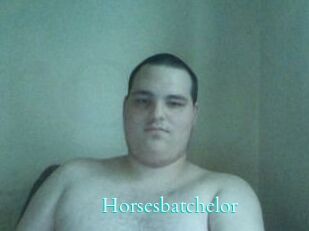 Horsesbatchelor