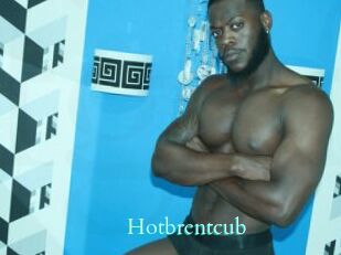 Hotbrentcub