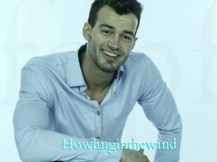 howlinginthewind Free Gay Porn Finder